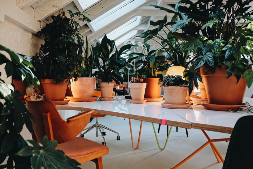 Office Photo