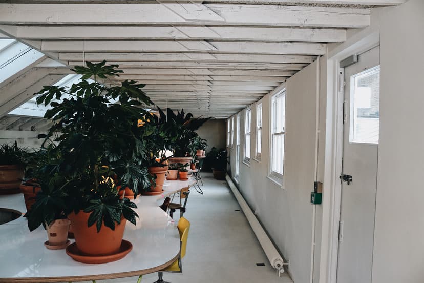Office Photo