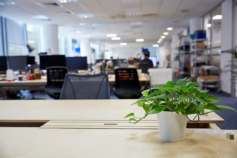 Office Photo