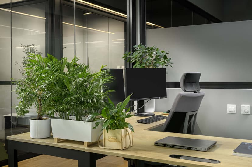 Office Photo