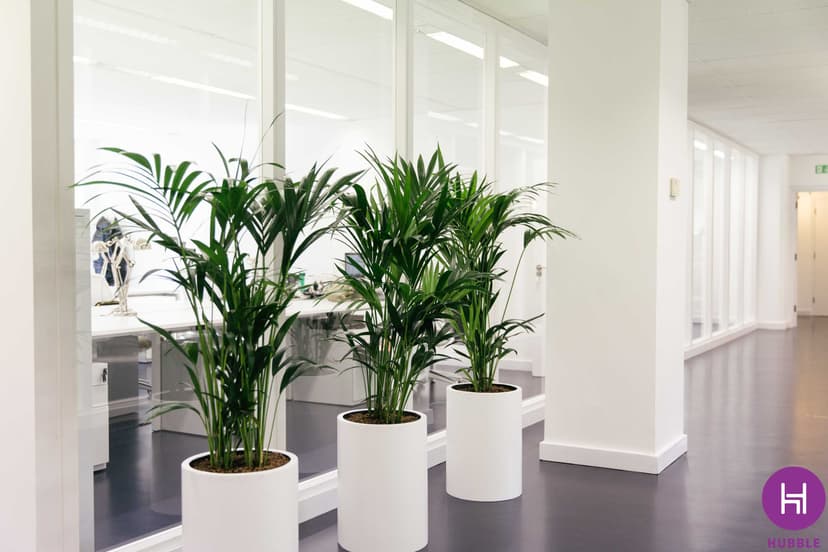 Office Photo