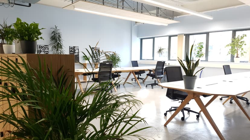 Office Photo