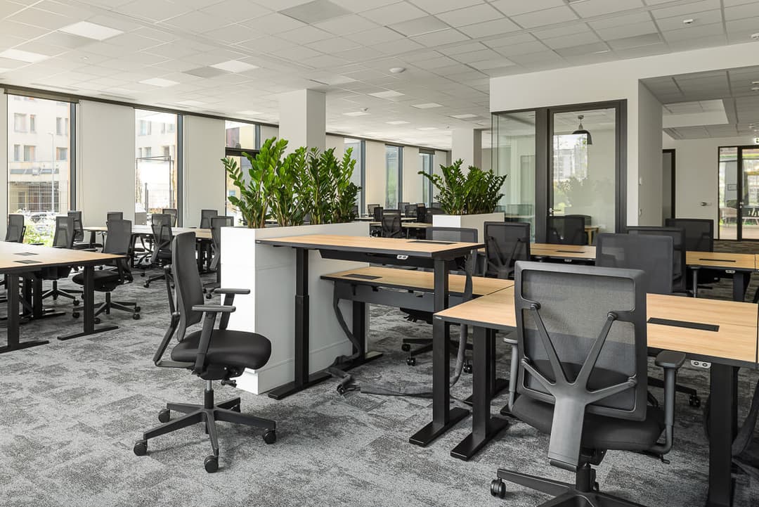 Business Link High5ive