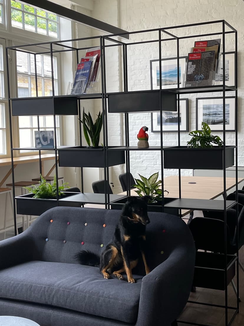Office Photo
