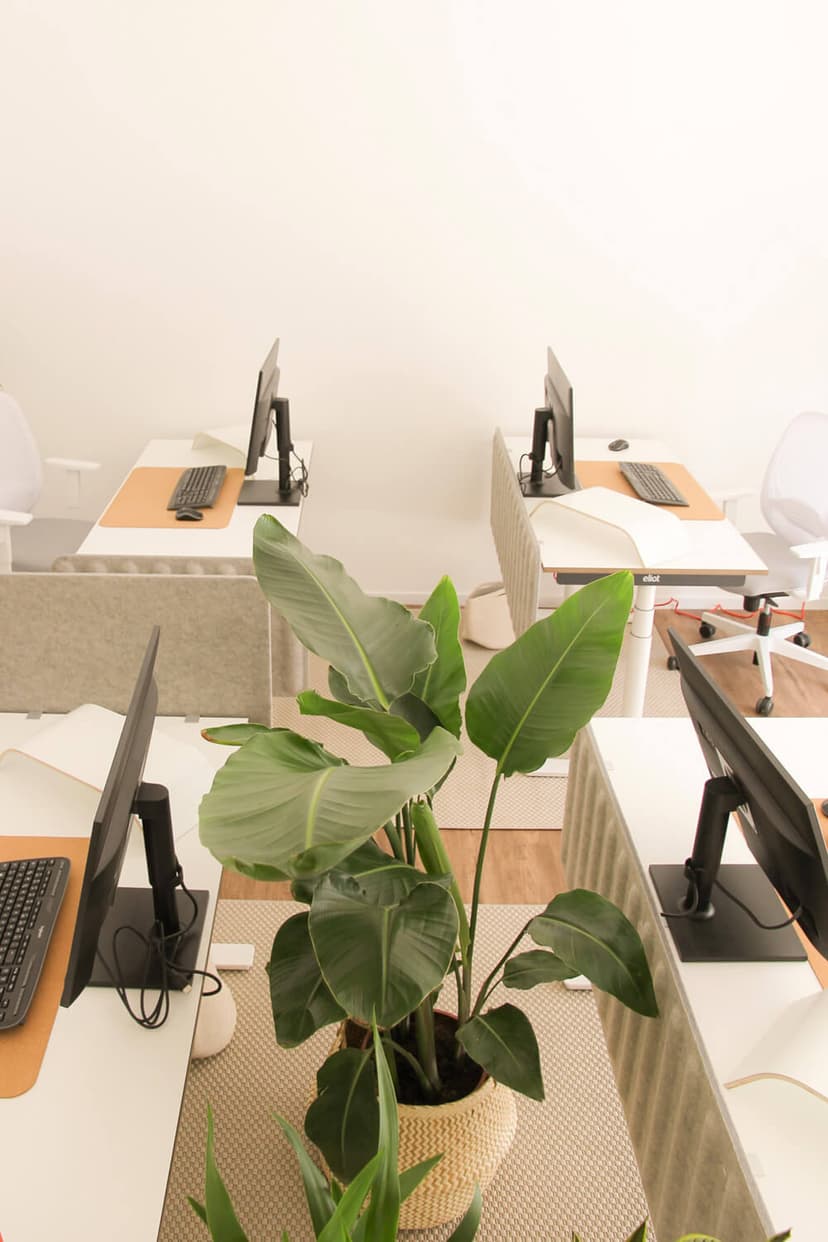 Office Photo