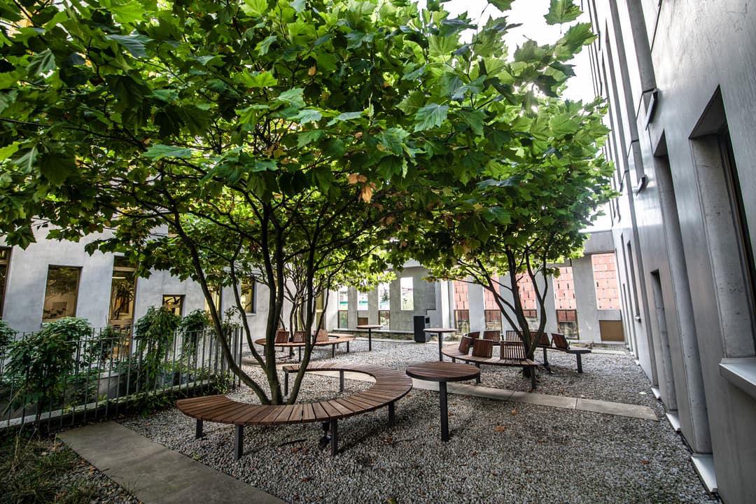 Silesia Star Katowice