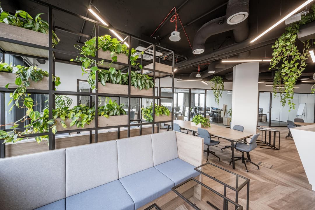 Biznes Zone - Carbon Tower