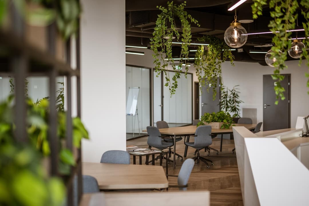 Biznes Zone - Carbon Tower