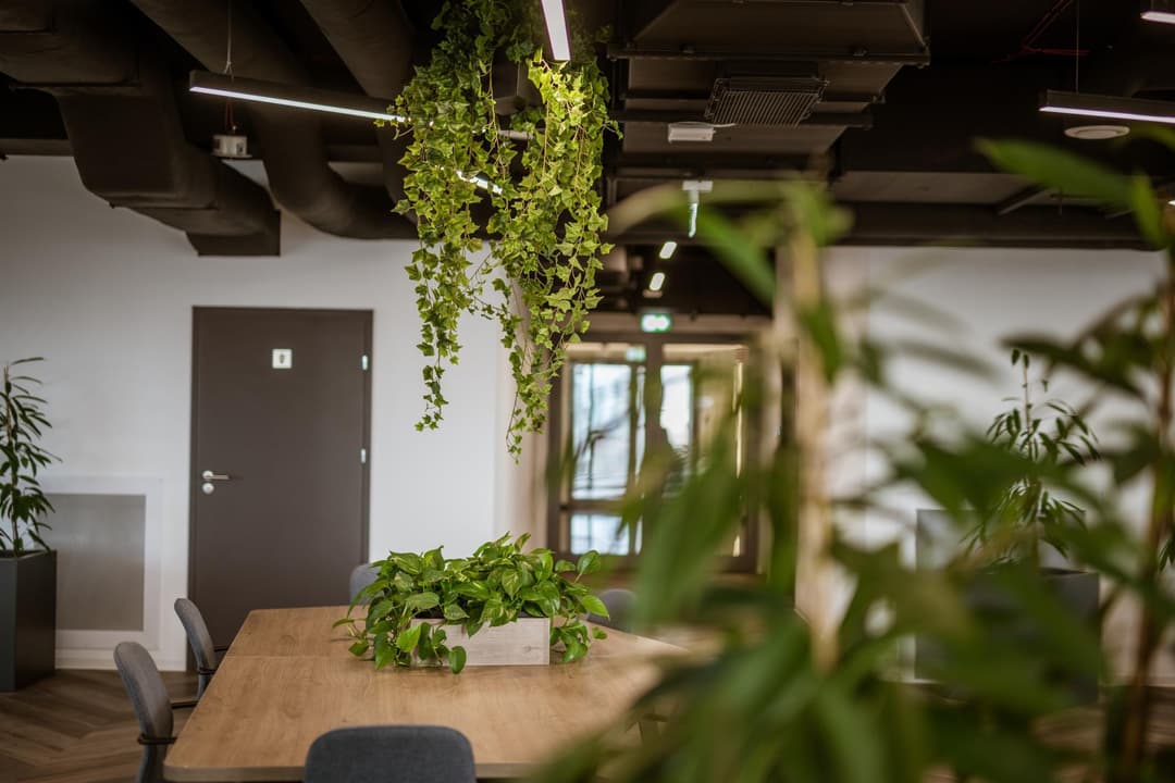 Biznes Zone - Carbon Tower