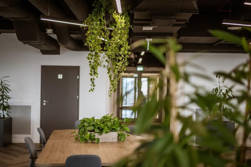 Office Photo