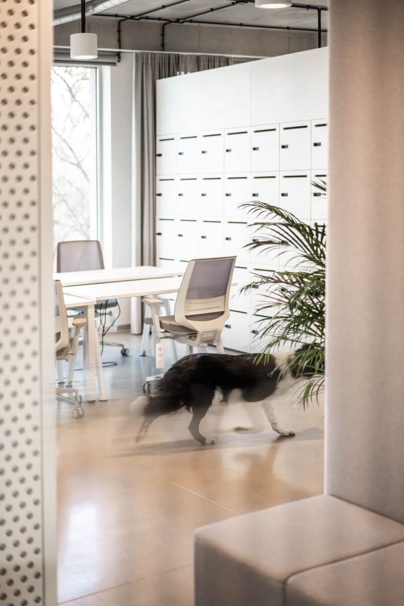 Office Photo