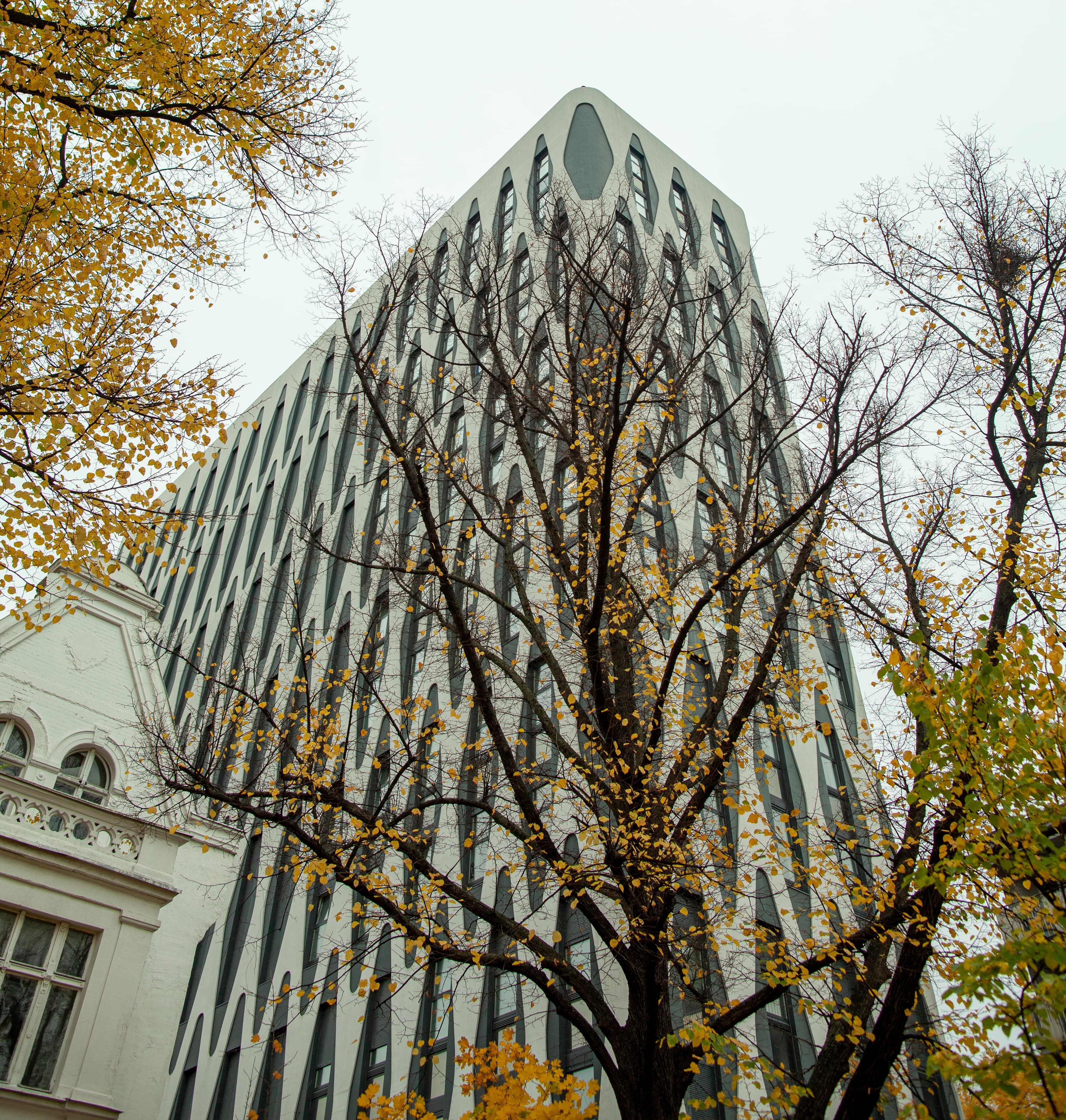 Nobel Tower