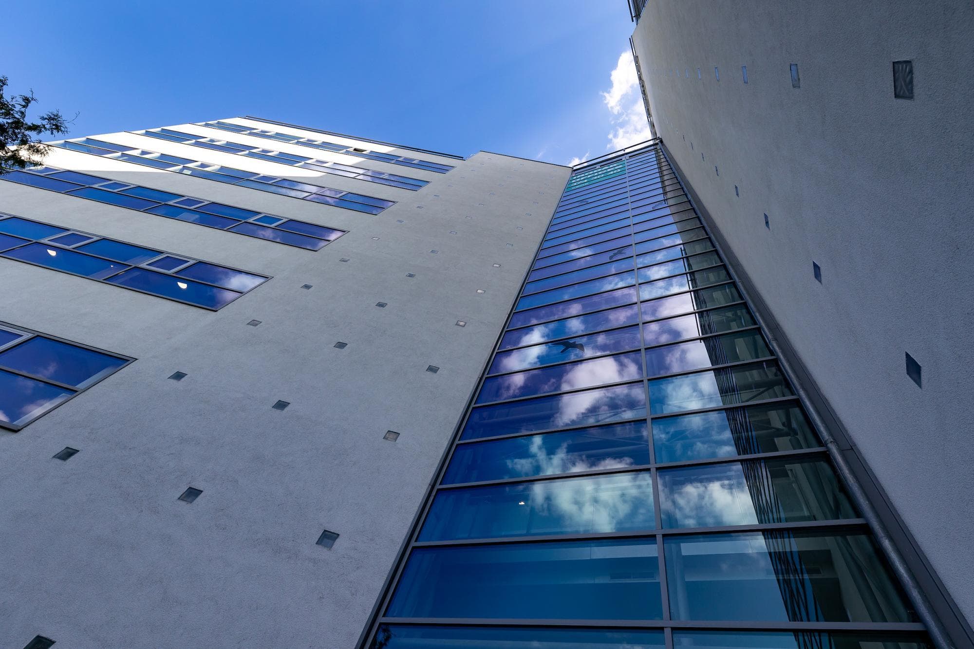 New Work Science Park