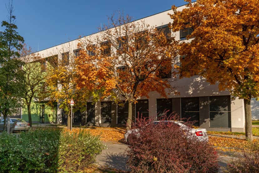 Office Photo