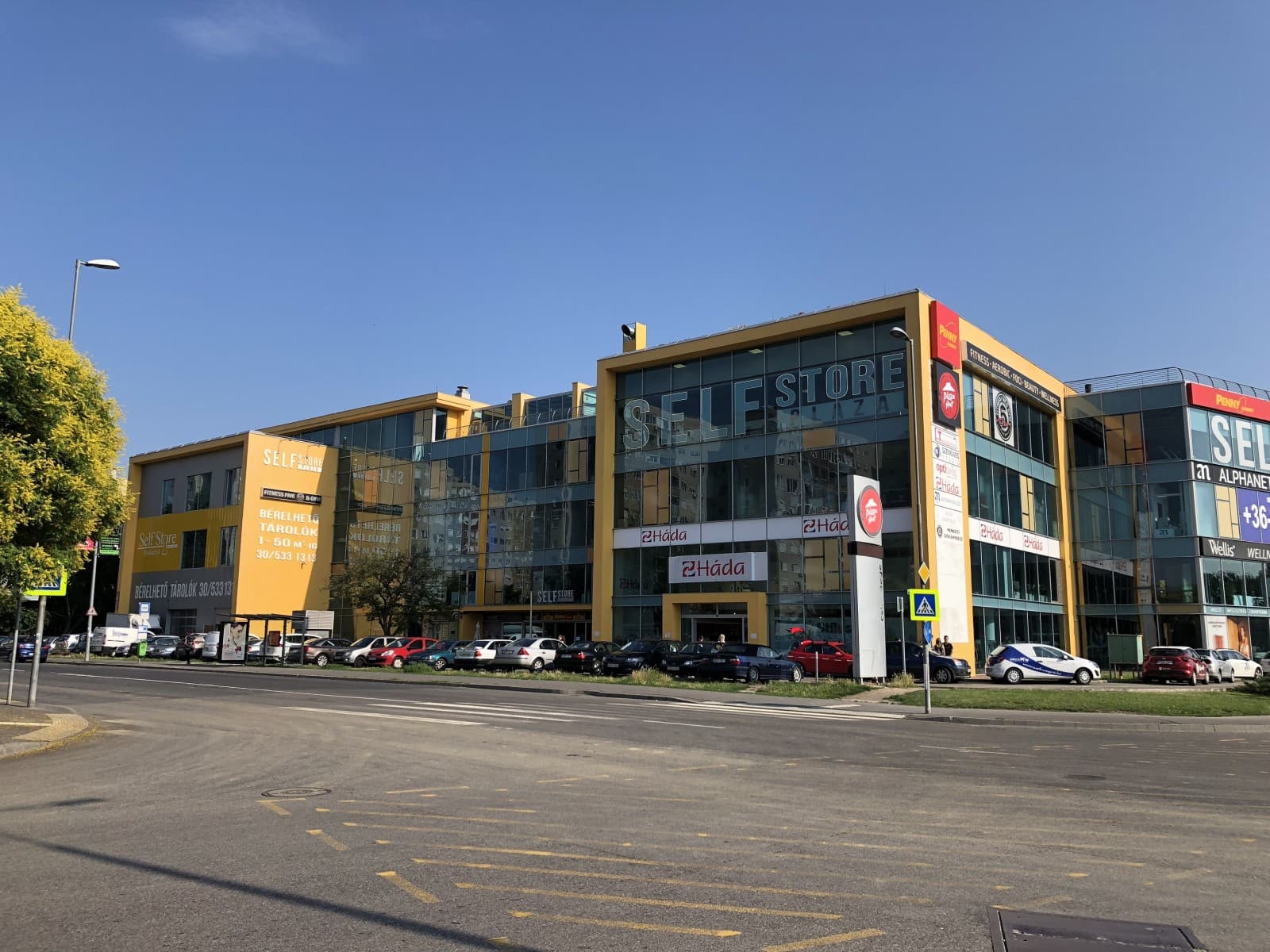 Self Store Plaza