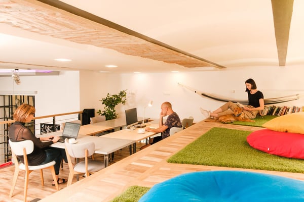 Coworking Space Budapest Baobab Coworking Oasis