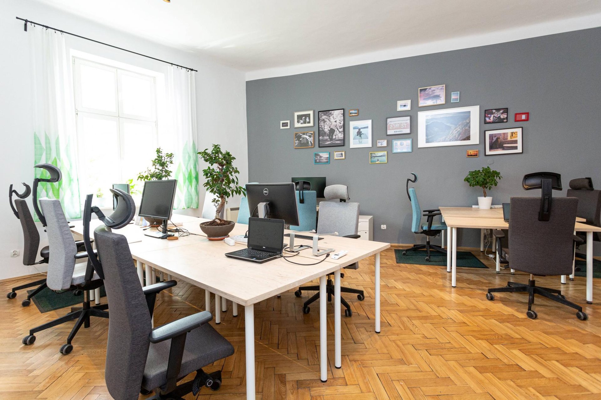Office for 11 pers. in Kalafiornia Coworking & Offices