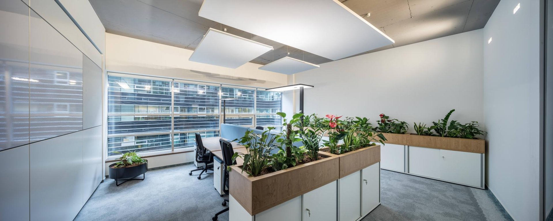 Office for 31 pers. in myhive Haller Gardens Flex