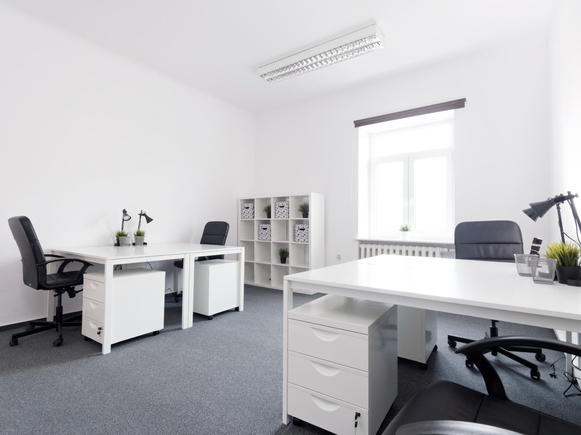 Office for 6 pers. in Centrum Żoliborz