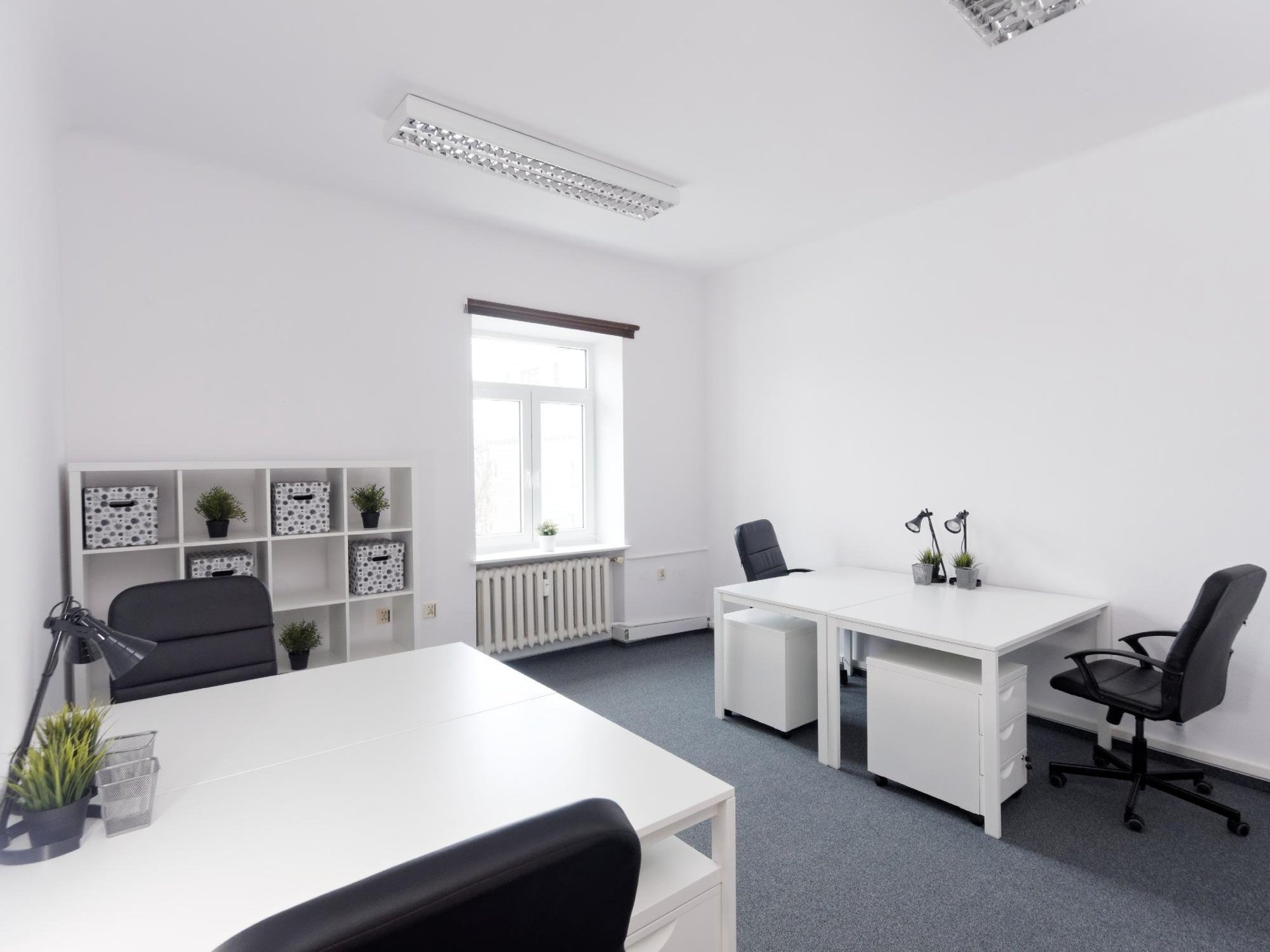 Office for 6 pers. in Centrum Żoliborz